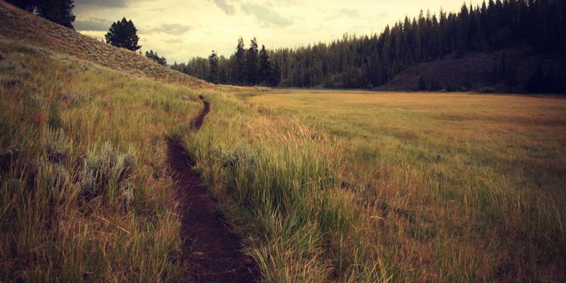 徒步星斗山:探秘恩施利川毛坝镇的“华中天然植物园”与便民生态之旅