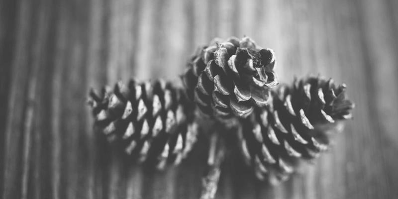 恩施宣恩狮子关水上浮桥自驾全攻略:网红打卡与摄影出片秘籍