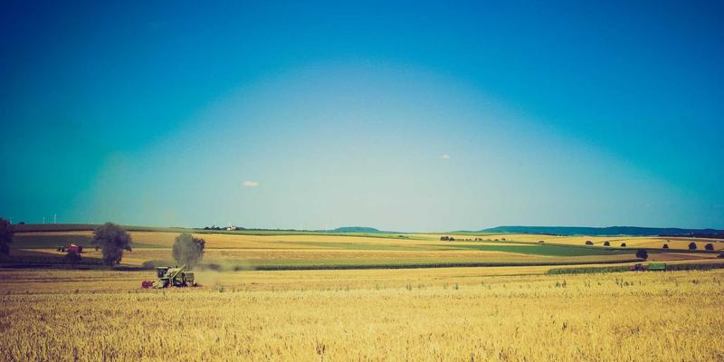 恩施尚风：揭秘土苗秘境，一站式便民信息助你深度体验民俗文化