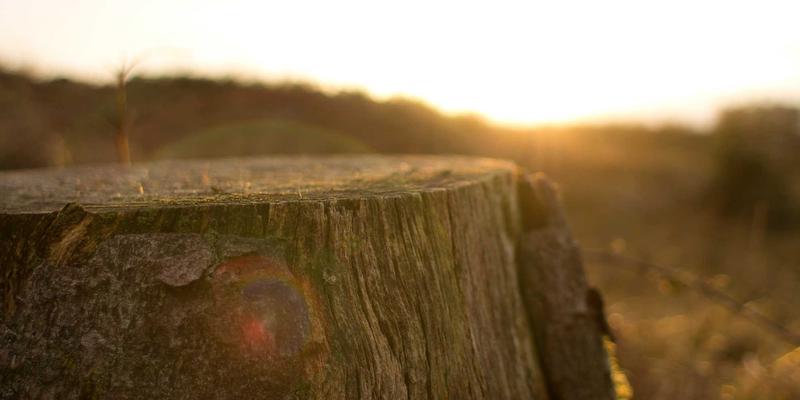 探秘恩施利川腾龙洞:亚洲第一长洞的奇幻探险与光影盛宴