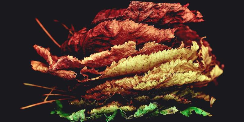 探秘恩施地心谷：亿年地质奇观如何形成？本地社区分享最全游览贴士